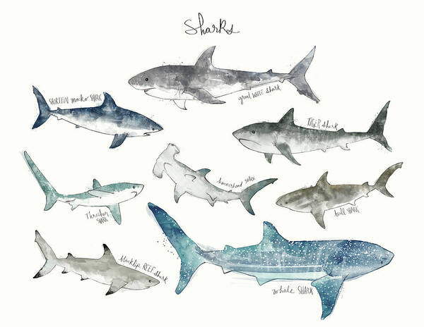 Sharks Art Print featuring the painting Sharks - Landscape Format by Amy Hamilton