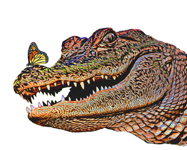 Alligator Art Print featuring the photograph Smile by Mitch Spence