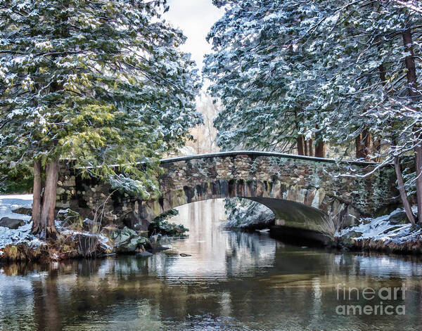 Bridge Art Print featuring the digital art Spring Snow at Elizabeth Park by Lorraine Cosgrove