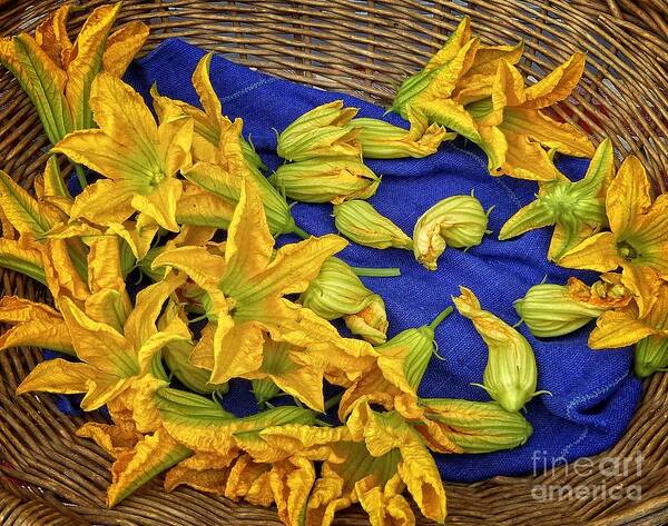 Flower Art Print featuring the photograph Squash Blossom Basket by Dee Flouton