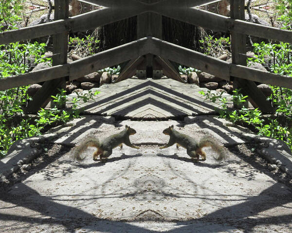Squirrels Art Print featuring the digital art Squirrels Dancing on a Bridge by Julia L Wright