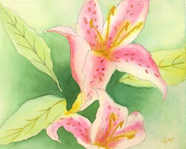 Lily Art Print featuring the painting Star Gazer Lillies by Elise Boam