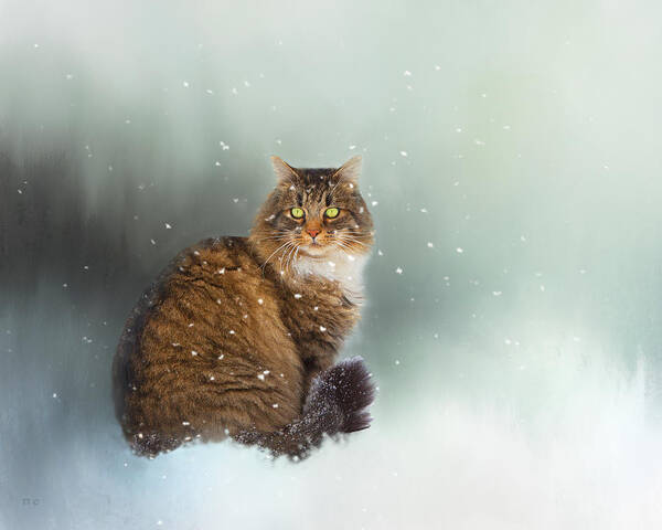 Theresa Tahara Art Print featuring the photograph Starting To Snow Again by Theresa Tahara