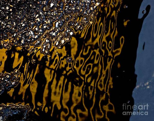Streets Art Print featuring the photograph Streets Paved in Gold and Silver Series 2 by Debra Banks