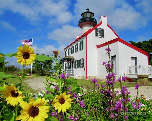 East Point Lighthouse Art Print featuring the photograph Summer at East Point Light by Nancy Patterson