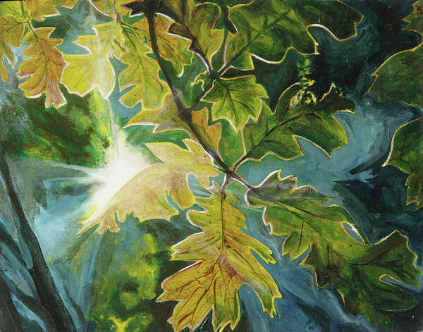 Sun Art Print featuring the painting Sun Through Oak Leaves by Lynn Hansen