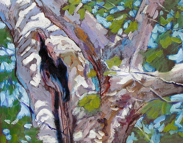 Tree Art Print featuring the painting Sunlight on Sycamore by John Lautermilch