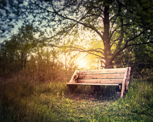 Landscape Art Print featuring the photograph Sunset on a Wooden Bench by Scott Norris