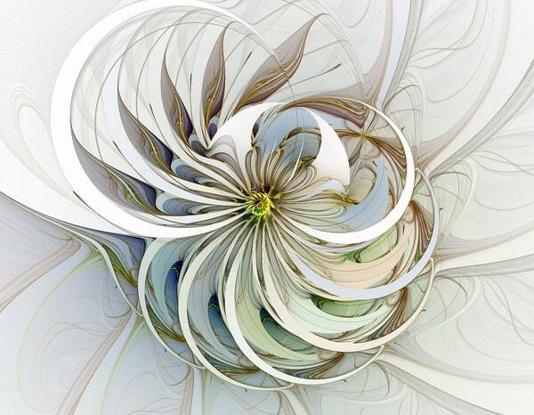 Digital Art Art Print featuring the digital art Swirling petals by Amanda Moore