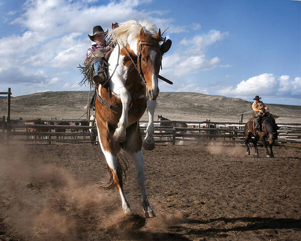 Rodeo Art Print featuring the photograph The Buckout at Sombrero Ranch by Pamela Steege