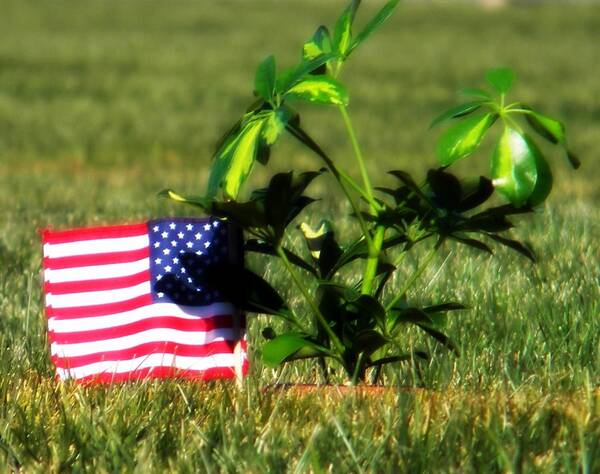 Flag Art Print featuring the photograph The Fallen by Amanda Eberly
