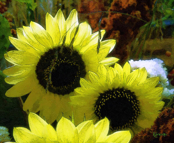 Sunflowers Art Print featuring the digital art The Lemon Sisters by RC DeWinter