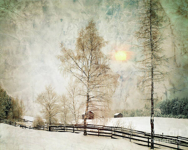 Nag916954t Art Print featuring the photograph The Magic of Winter by Edmund Nagele FRPS