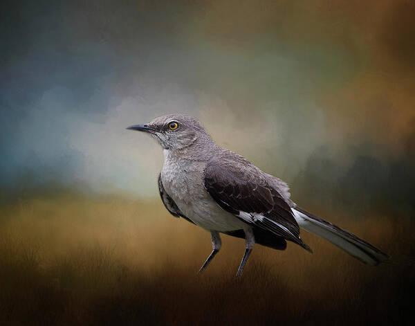 Animal Art Print featuring the photograph The Mockingbird A Bird of Many Songs by David and Carol Kelly