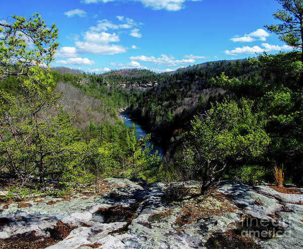 The Obed Wild And Scenic River Art Print featuring the photograph The Obed Wild and Scenic River by Paul Mashburn
