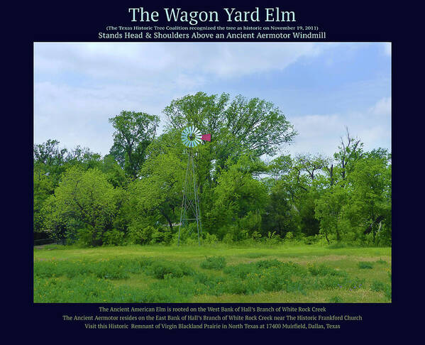 The Wagon Yard Elm Art Print featuring the mixed media The Wagon Yard Elm by Robert J Sadler