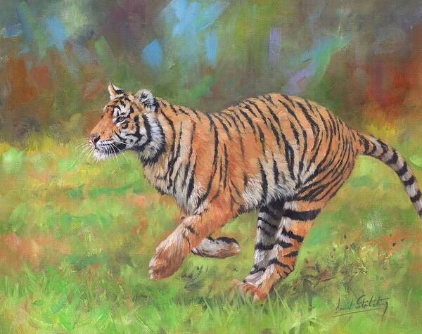 Tiger Art Print featuring the painting Tiger Running by David Stribbling