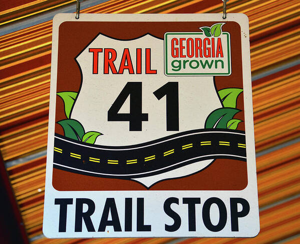 Trail 41 Stop Art Print featuring the photograph Trail 41 stop by David Lee Thompson