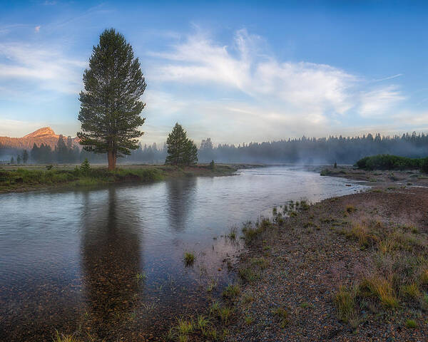 Tuolumne Art Print featuring the photograph Tuolumne Morrning by Anthony Michael Bonafede