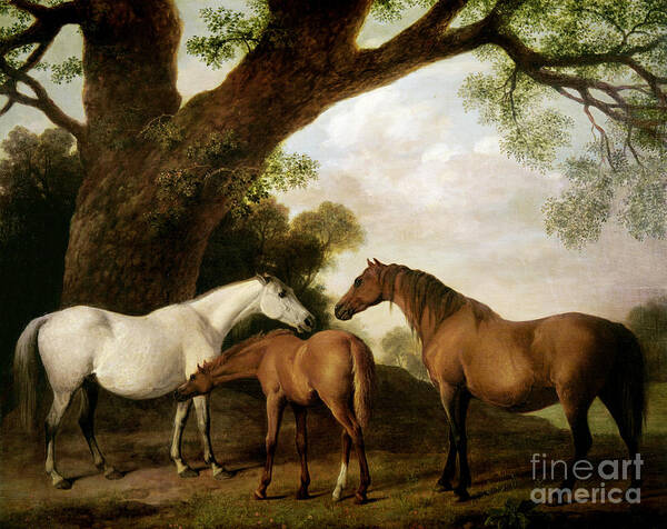 Two Art Print featuring the painting Two Mares and a Foal by George Stubbs