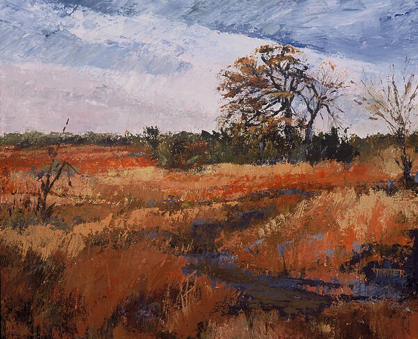 Landscape Art Print featuring the painting Typical Texas Field by Jimmie Trotter