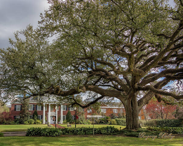 Ul Art Print featuring the photograph UL President Home 01 by Gregory Daley MPSA
