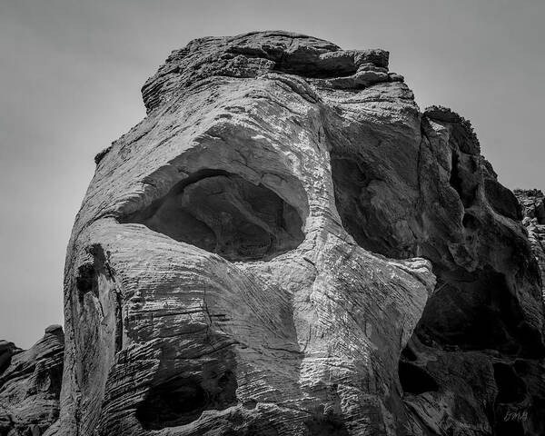 Nevada Art Print featuring the photograph Valley of Fire IX BW by David Gordon