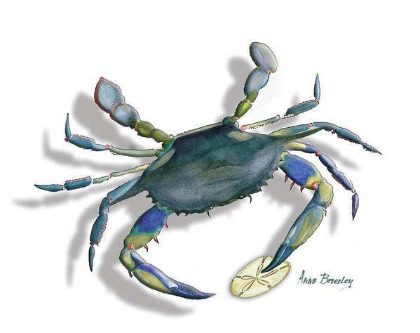 Crab Art Print featuring the painting Very Blue Crab by Anne Beverley-Stamps