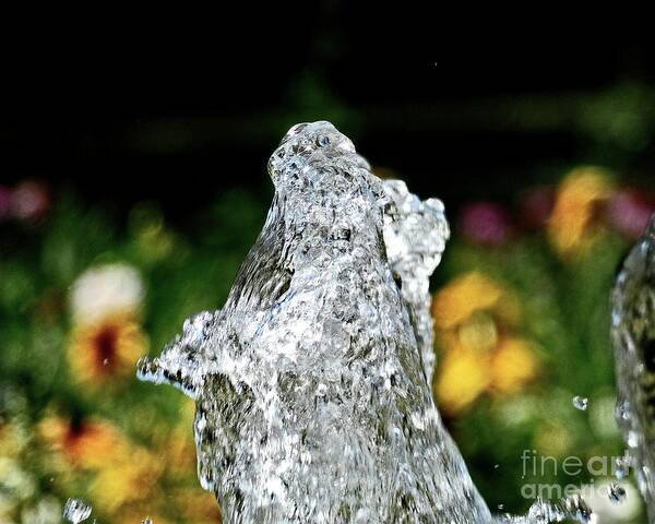 Water Art Print featuring the photograph Water the sculptor of nature II by Humphrey Isselt