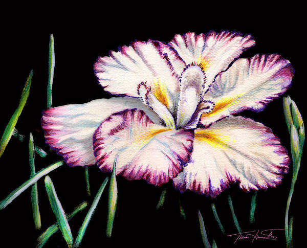 Iris Art Print featuring the painting White Iris by Thomas Hamm