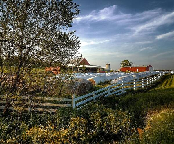 Landscape Art Print featuring the photograph White Picket Fence Farm by Angela Comperry