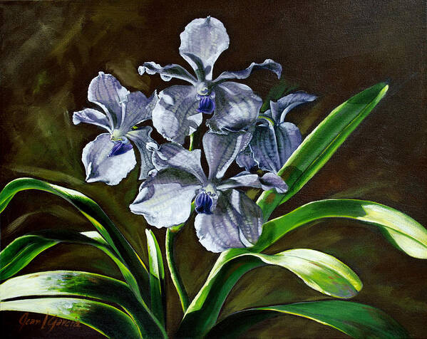 Orchids Art Print featuring the painting Morning Vanda by Joan Garcia