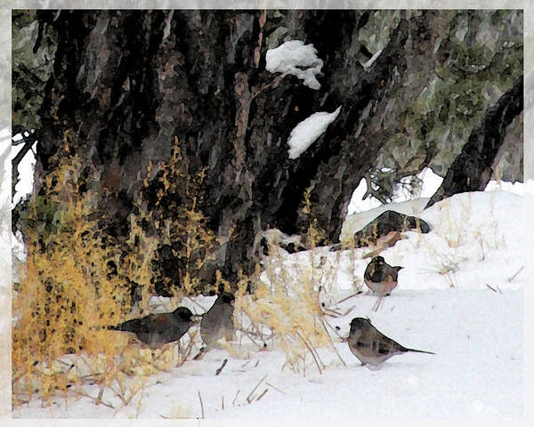 Small Birds Art Print featuring the photograph Winter Birds by Feather Redfox