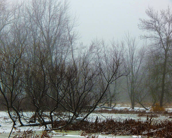 Winter Art Print featuring the photograph Winter Fog by Wild Thing