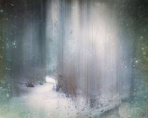  Art Print featuring the photograph Winter Path by Cybele Moon