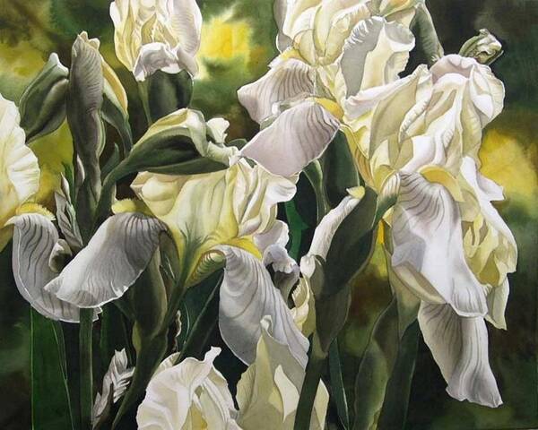 Iris Art Print featuring the painting Yellow And White Irises by Alfred Ng