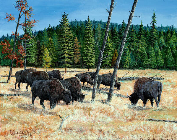 Tim Gordon Art Print featuring the painting Yellowstone Grazers by Timithy L Gordon