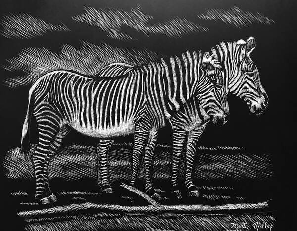 Art Art Print featuring the drawing Zebras by Dustin Miller