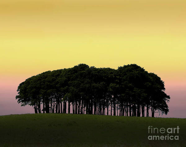 A30 Art Print featuring the photograph Cookworthy Knapp #1 by Paul Martin