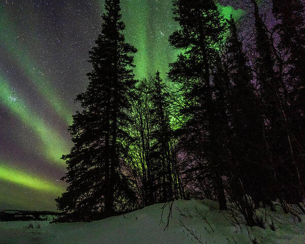 Aurora Borealis Art Print featuring the photograph Northern Lights #21 by Laura Hedien