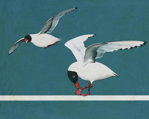 Animal Art Print featuring the digital art A seagull has its place by Jan Keteleer