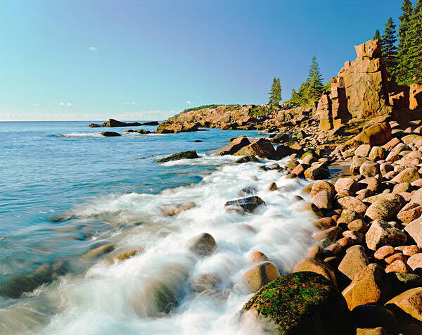 Water's Edge Art Print featuring the photograph Acadia National Parks Rocky Atlantic by Ron thomas