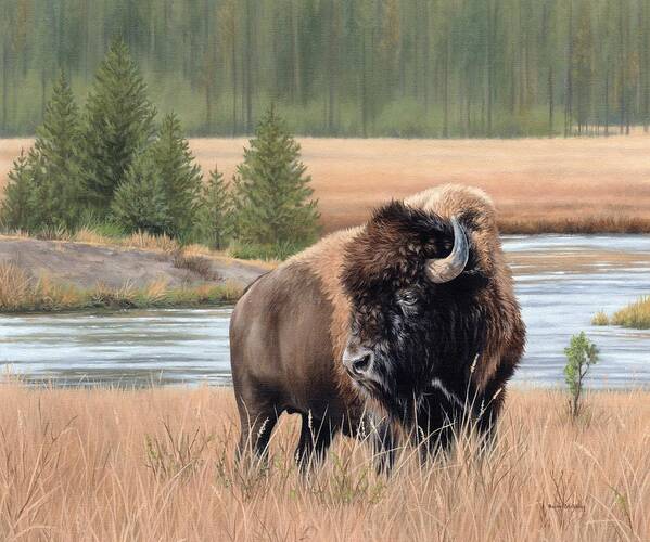 Bison Painting Art Print featuring the painting American Bison by Rachel Stribbling