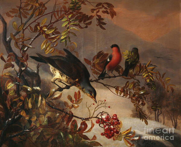Frants Boee Art Print featuring the painting Birds on a rowanberrry twig by O Vaering