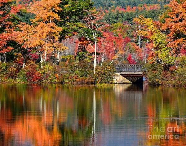 New Hampshire Art Print featuring the photograph Bridge at Lake Chocorua by Steve Brown