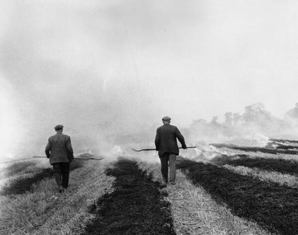Cambridgeshire Art Print featuring the photograph Burning Stubble by Central Press