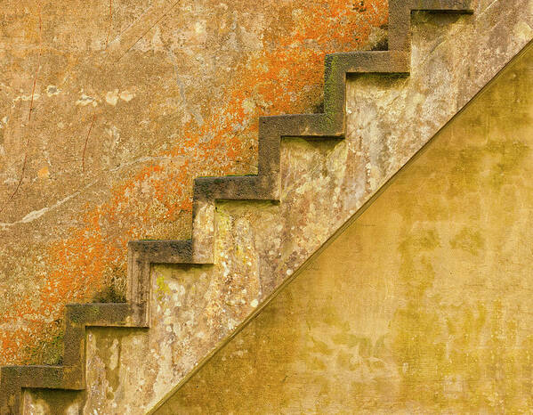 Abstract Art Print featuring the photograph Ascending Steps by Dee Browning
