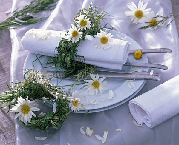 Ip_12138442 Art Print featuring the photograph Daisy Grass Pigtail As Napkin Deco by Friedrich Strauss