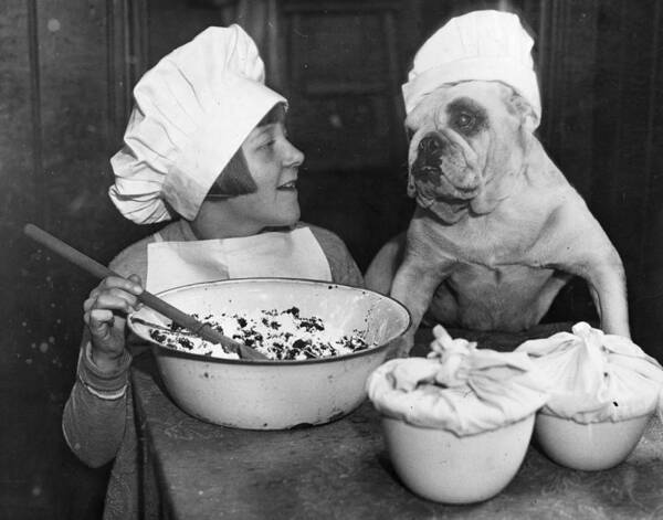 Pets Art Print featuring the photograph Doggy Chef by Fox Photos