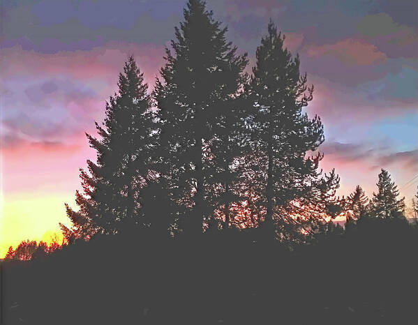 Sunset Art Print featuring the photograph Dusk in the Pines by Robert Bissett
